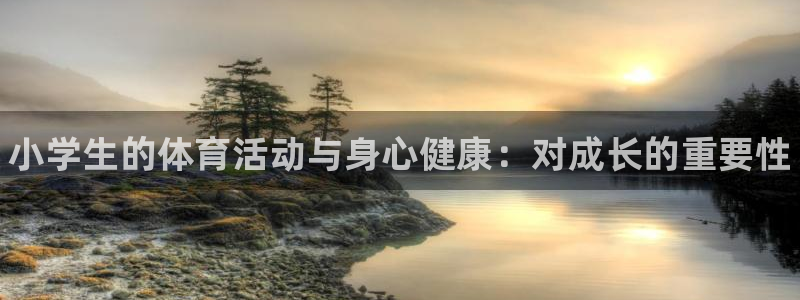 欧亿体育官方正版app官方:小学生的体育活动与身心健康:对成