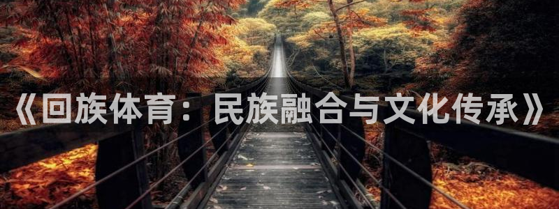 oety欧亿体育官网下载平台:《回族体育:民族融合与文化传承