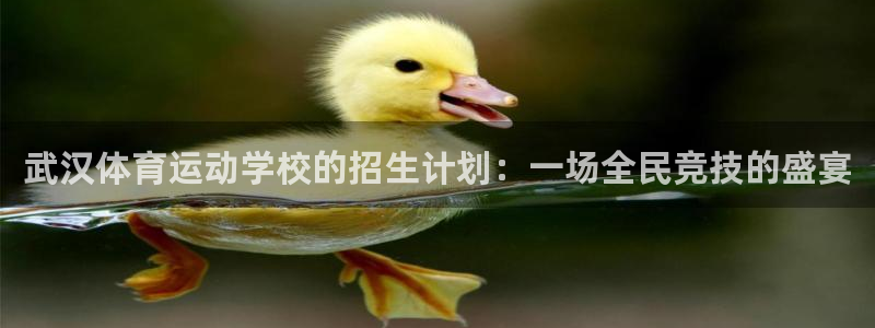 欧亿体育官方正版app娱乐是那个系列的台子:武汉体育运动学校