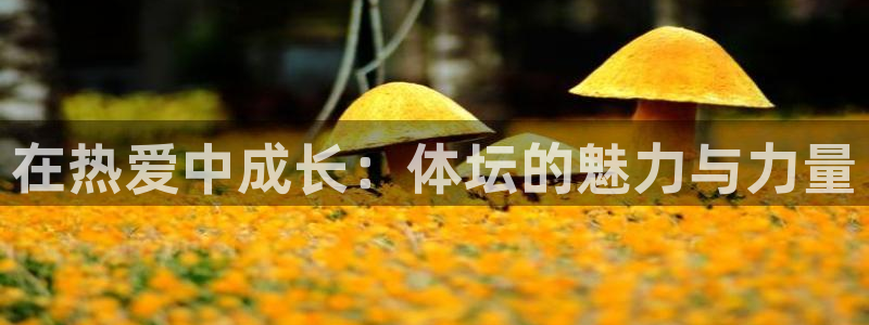 欧亿体育官方正版app娱乐下载:在热爱中成长:体坛的魅力与力