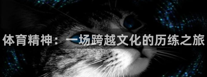 欧亿体育官方正版app集团E.ON:体育精神:一场跨越文化的