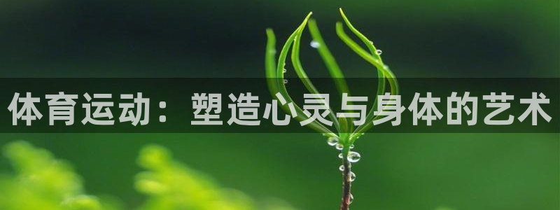 oety欧亿体育官网下载是干嘛的公司:体育运动:塑造心灵与身